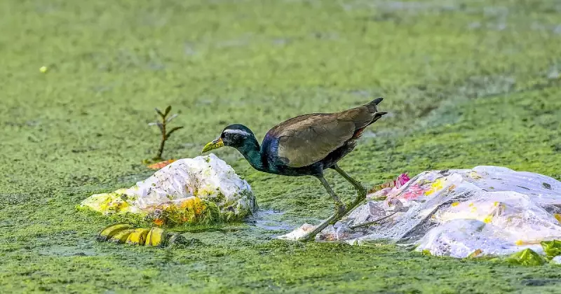 Jan 3, 2026: Global Snapshot - From Bhopal Protests to Swiss Tragedy