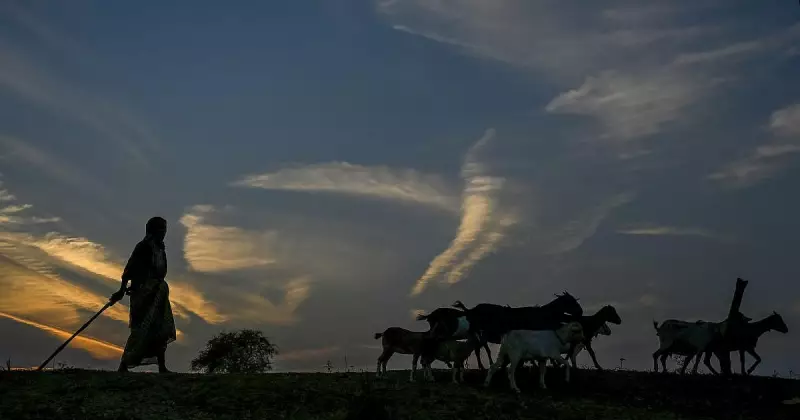 January 12, 2026: A World in Pictures from Agra to Milan