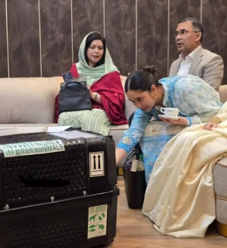 Jebu the Siberian Tiger Returns to Bangladesh: A Tale of Diplomacy and Conservation