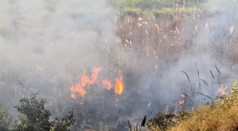 Jhajjar defies GRAP-III with rampant open waste burning