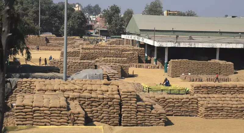 Karnal Paddy Scam: Police Hunt for Evidence in Rice Mill CCTV Footage