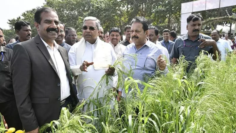 Karnataka CM Seeks Centre's Help as Maize, Green Gram Prices Crash