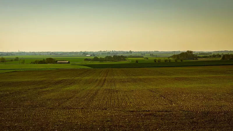 Karnataka Eases Farmland Conversion Rules: Key Changes Explained