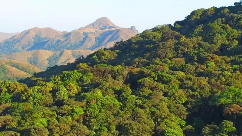 Karnataka Forest Dept Faces Rs 30 Crore Land Loss in Legal Battle