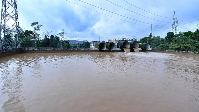 Karnataka Govt Faces Flak Over Yettinahole Compensatory Afforestation Land Swap