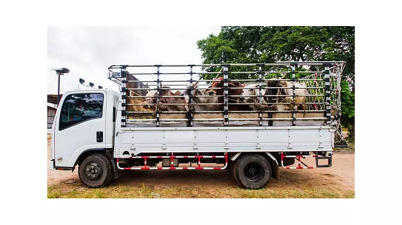 Karnataka Police Open Fire on Alleged Cattle Smuggler in Puttur | Fresh Case Registered