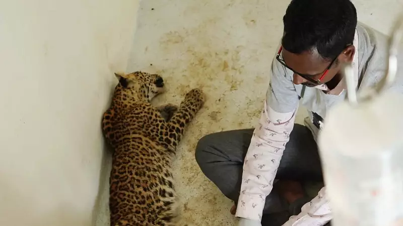 Karnataka Pushes for Dedicated Wildlife Veterinarian Cadre to Boost Conservation