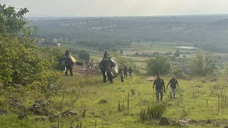 Karnataka Wildlife Rebound Sparks Rising Human-Animal Conflict