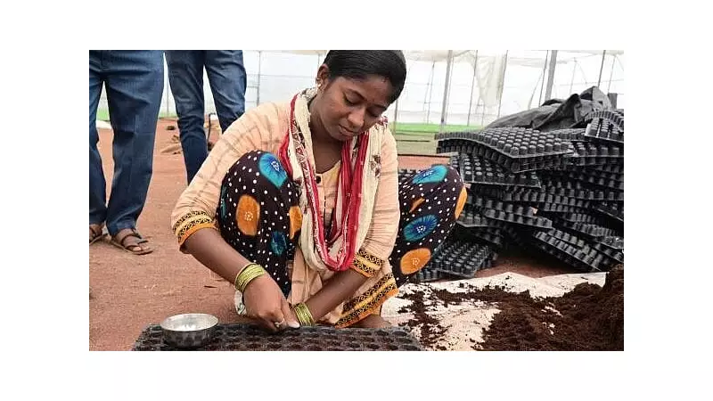 Karnataka's Green Revolution: How One Man's Seed Bank Is Transforming Rural Agriculture
