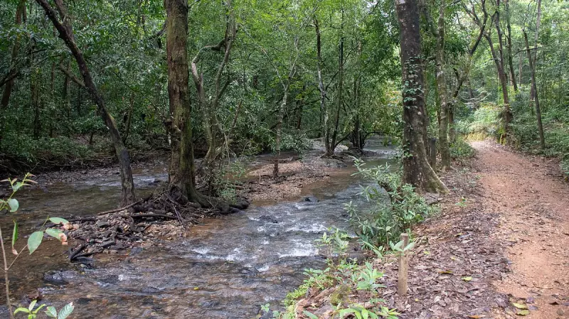 Karnataka's Mega Sharavathi Pumped Storage Project Faces Critical Environmental Assessment on October 27