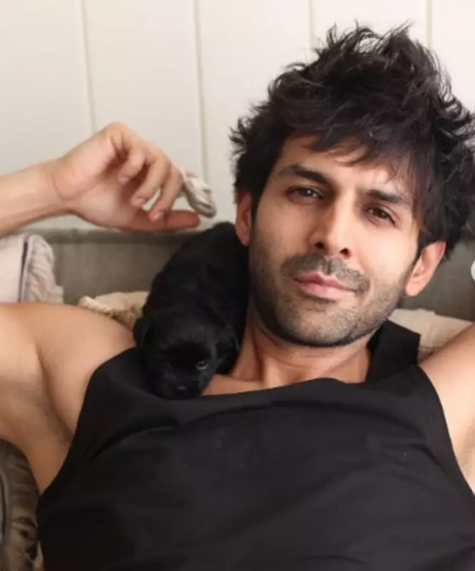 Kartik Aaryan's Goa Getaway Fuels Dating Rumours with Co-star Triptii Dimri