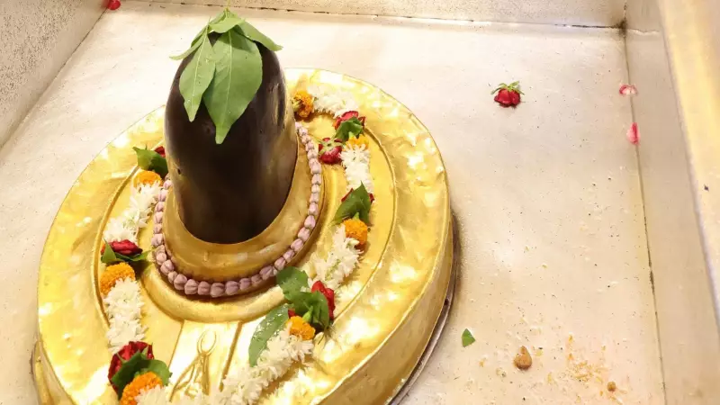 Kashi Vishwanath Temple Suspends VIP Darshan for New Year Rush: Details Inside