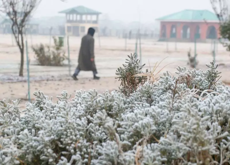 Kashmir Night Temperatures Show Slight Improvement Amid Cold Wave