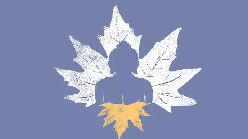 Kashmir's Buddhist Legacy Unearthed: Zehanpora Excavation Reveals Kushan-Era Treasures