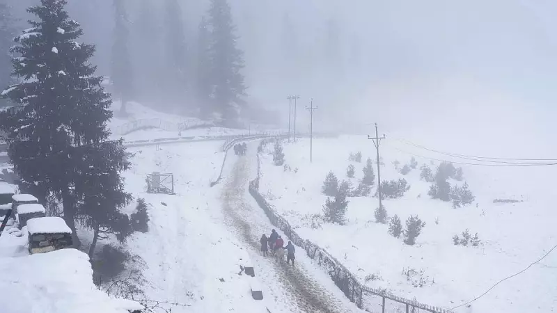 Kashmir's Winter Tourism Faces Snow Drought, Gulmarg Hotels Empty in December