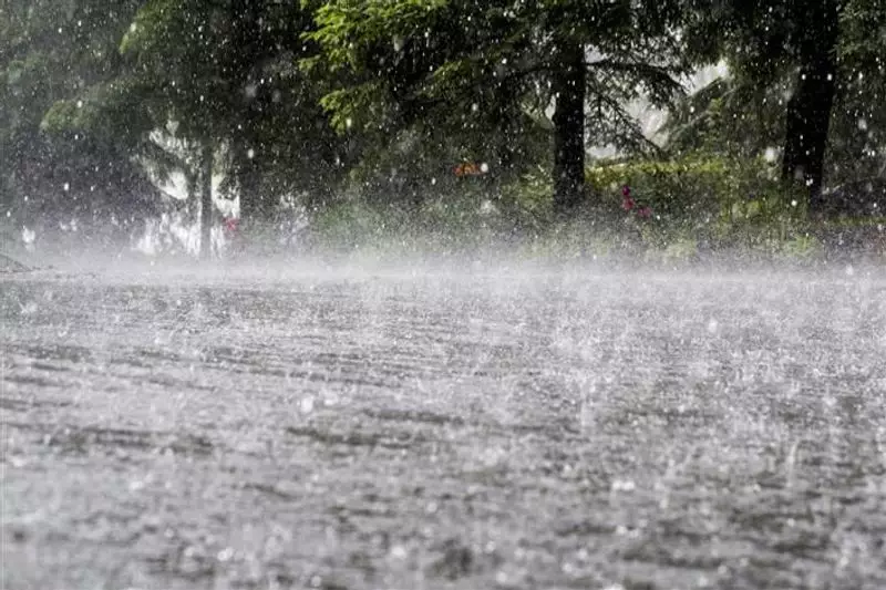 Kerala Battles Torrential Downpour: Orange Alert Issued for Six Districts as Heavy Rain Wreaks Havoc