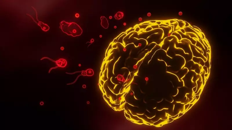 Kerala's Deadly Brain Infection Spike Linked to Garbage Dumping, Warns Senior Doctor