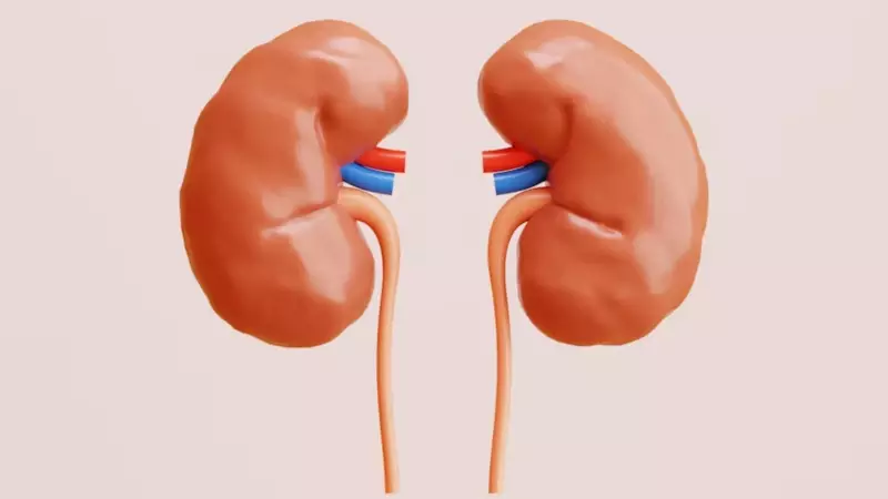 Kidney Health Alert: 7 Essential Steps to Prevent Impaired Kidney Function Naturally