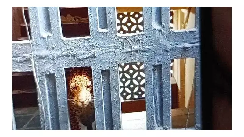 Leopard Enters Thane Housing Society, Rescue Operation Underway