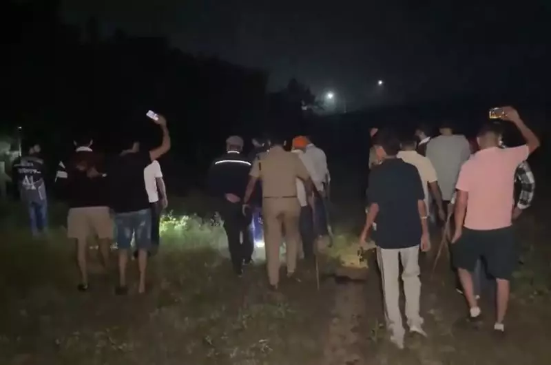 Leopard Spotted in Ambala Residential Area: Forest Department Launches Massive Search Operation