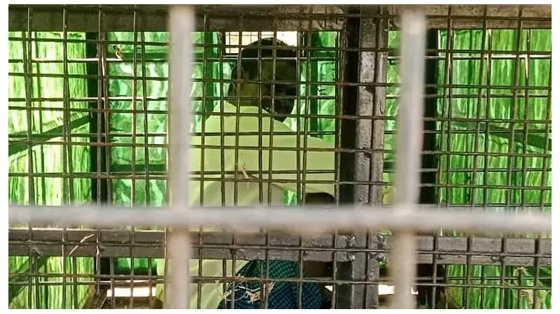 Leopard Trap Snares Villager in Chamarajanagar: A Night of Terror