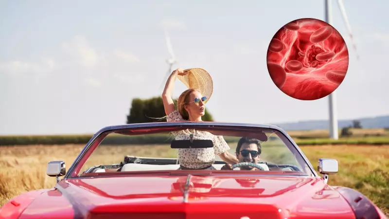 Long Road Trip? A Top Vascular Surgeon Reveals 3 Essential Rules to Prevent Deadly Blood Clots