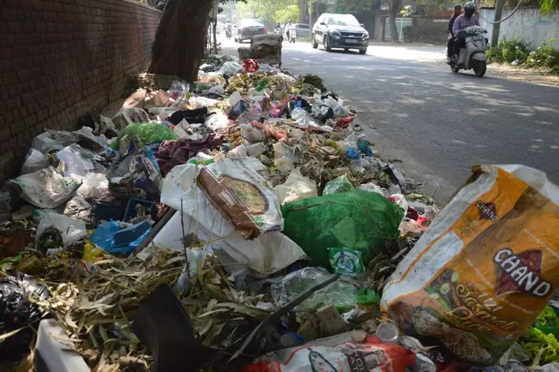 Ludhiana MC Launches Midnight Patrols to Catch Illegal Garbage Dumpers | City Cleanup Drive