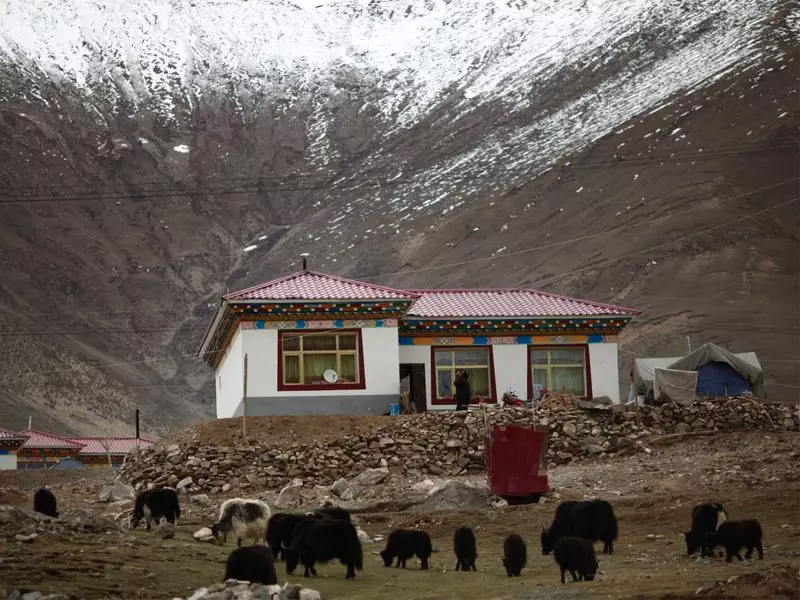 Magnitude 4.1 Earthquake Strikes Tibet Region, No Damage Reported