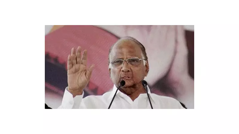 Maharashtra Local Polls: MVA Allies Claim Victory in Brahmapuri, Urun-Ishwarpur