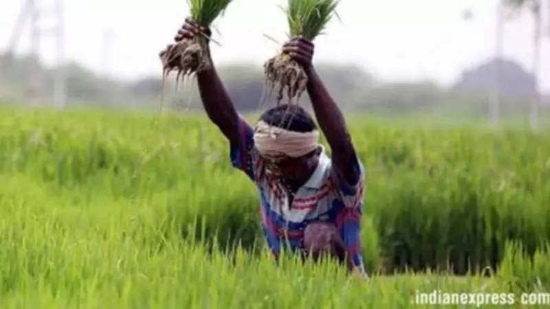 Maharashtra Sets Ambitious Target: 65 Lakh Hectares for Rabi Season Sowing