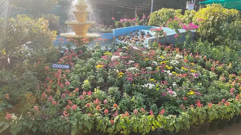 Mangaluru's Kadri Park to Host Grand Flower Show from January 23
