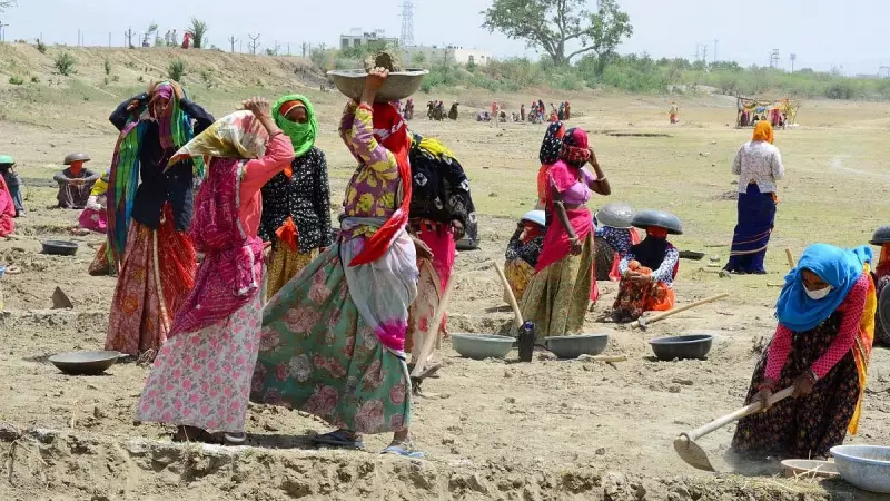 MGNREGA Shrinks as Free Food Grain Scheme Expands: A Policy Shift Decoded