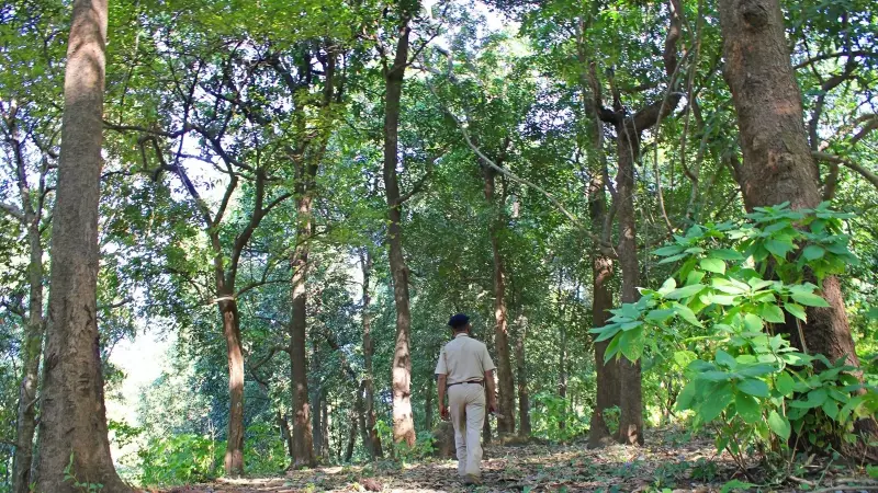 ‘Mini Veerappan’ Govinda Nabbed at Mysuru Station in 2025 Tiger Poaching Case