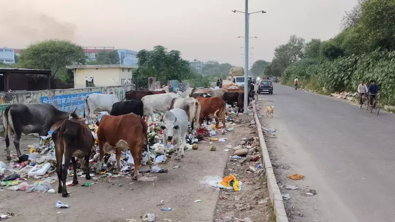 Mohali's Half-Finished Golf Club Road Widening Project Poses Grave Danger to Commuters