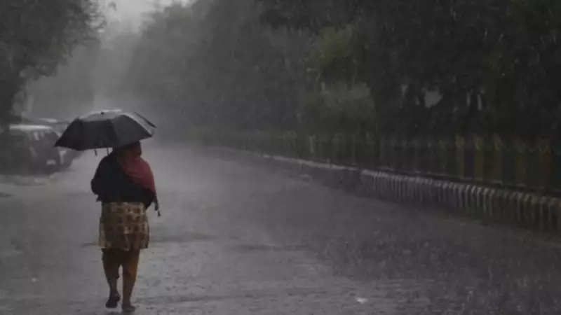 Monsoon Fury in Gujarat: 60 People Rescued Amidst Heavy Rainfall in Rajula, Amreli