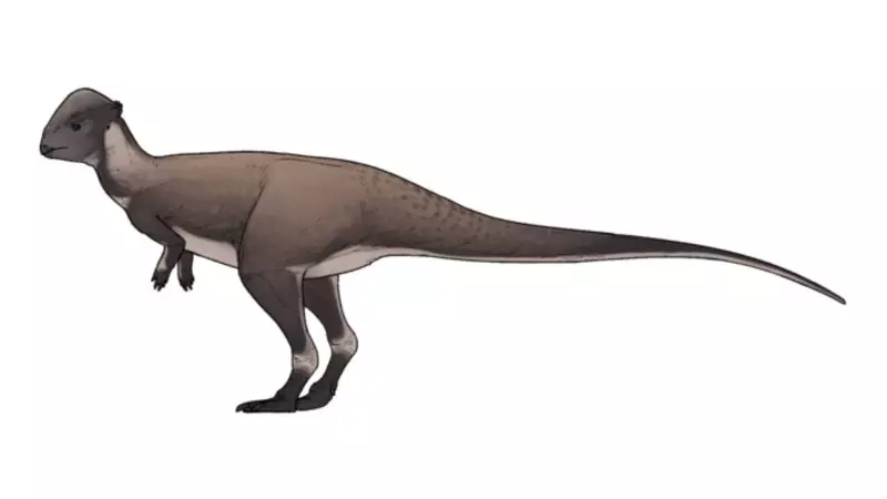 Montana's Dome-Headed Dinosaur Discovery Rewrites Prehistoric History | Indian Express