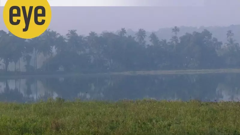Morning at Karmali Lake: A Misty Birdwatching Spectacle & the King Croc