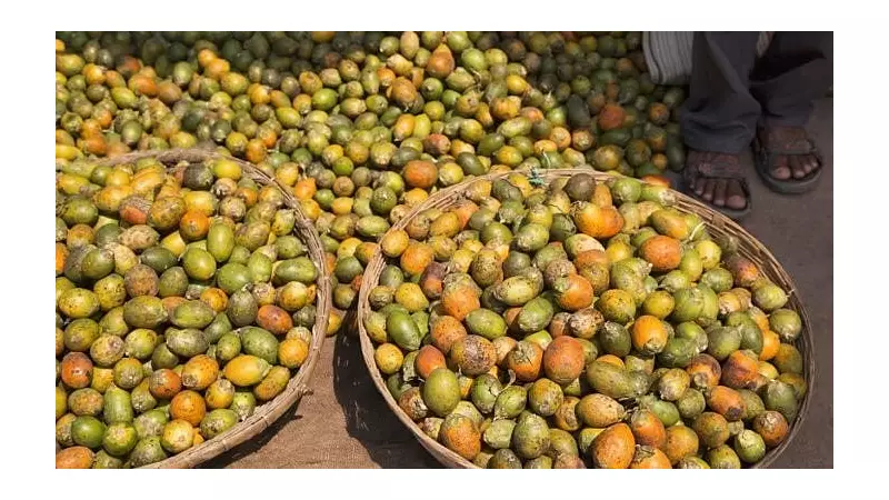 MP Brijesh Chowta Demands Ban on Duty-Free Arecanut Imports from Bhutan, Myanmar