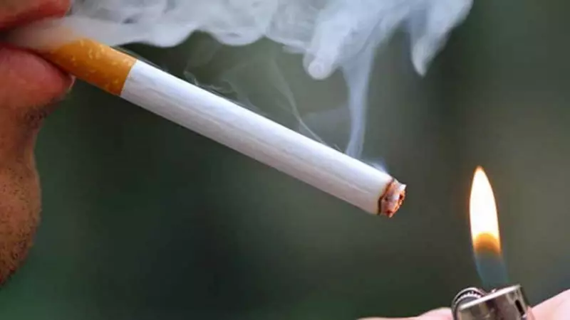 MPs Share Personal Tobacco Quit Struggles as Parliament Debates New Tax Bill