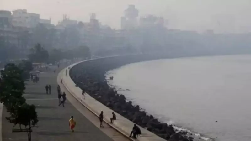 Mumbai Records Decade's Coldest November Morning at 16.2°C