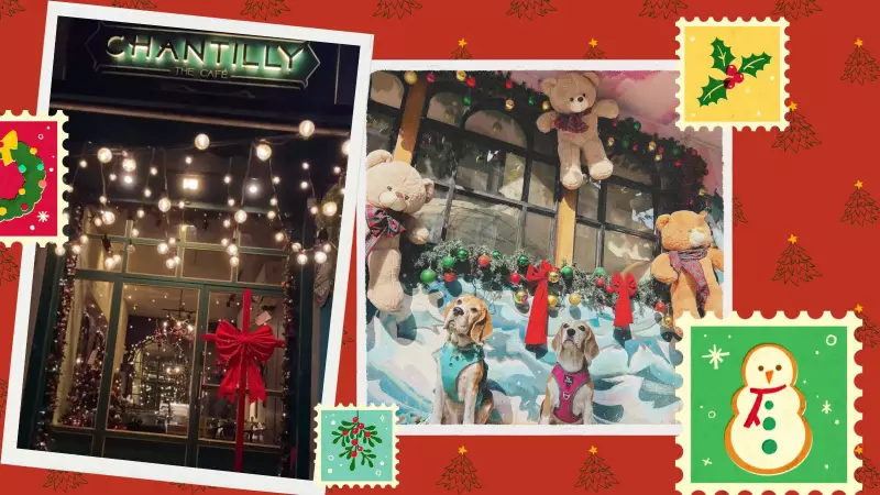 Mumbai's Christmas Café Boom: How Social Media & Limited Menus Drive Festive Frenzy