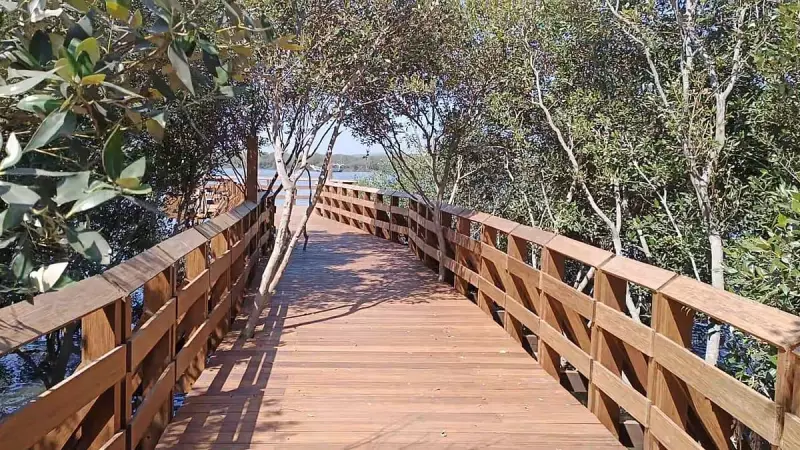 Mumbai's Gorai Set for ₹3,000 Crore Tourism Transformation