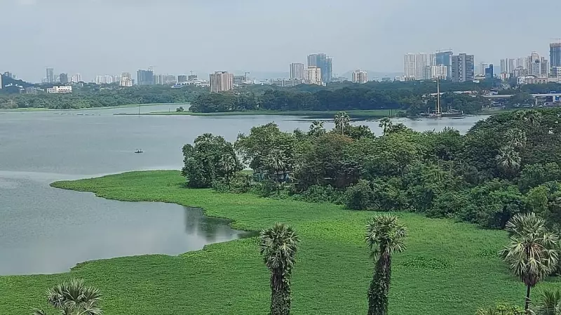 Mumbai's Powai Lake Pushes for Prestigious Ramsar Tag - Maharashtra Government Takes Charge