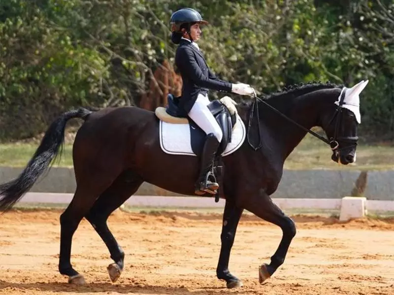 Mumbai's Stasya Pandya Wins Silver at Junior National Equestrian Championship 2025