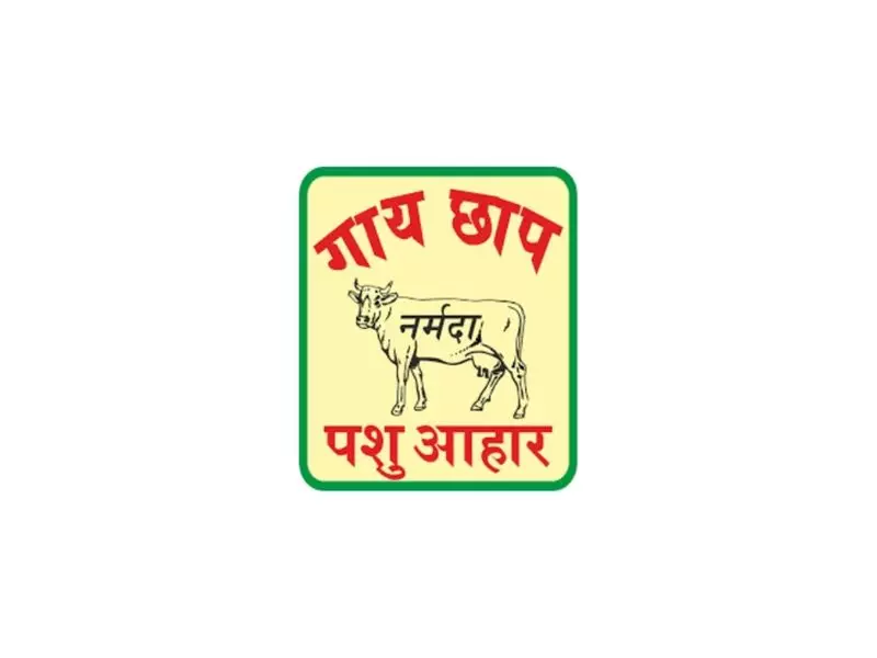 Narmada Agrobase Reports ₹2370 Lakhs Revenue in H1 FY26