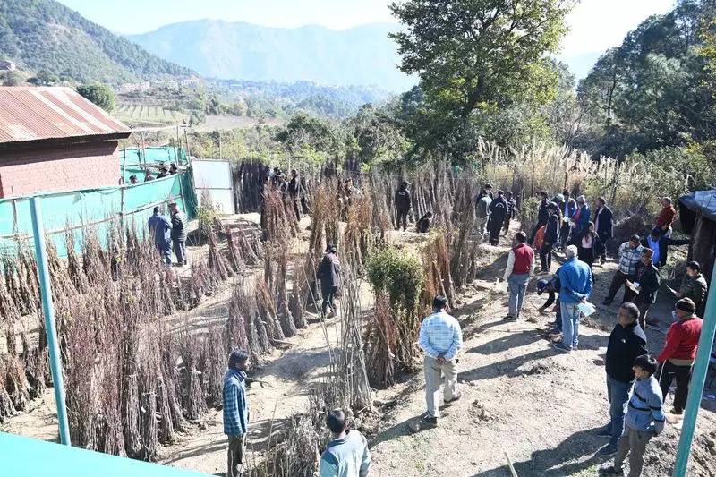 Nauni University Sells Over 19,800 Plants on First Day of Annual Sale