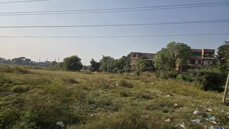 NCP's BMC Manifesto: Tax Waiver for 700 Sq Ft Homes, 10 Lakh Trees for Mumbai