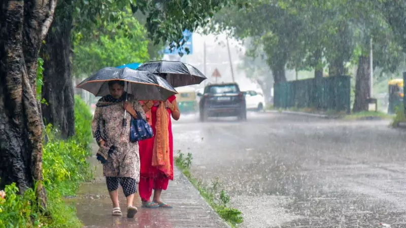 New Year Rain in Punjab, Haryana; IMD Issues Orange Fog Alert