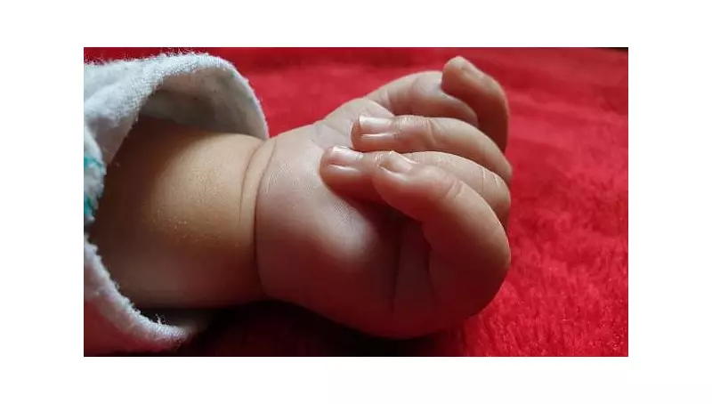 Newborn Girl Abandoned Near Jharkhand Water Body, Police Launch Search