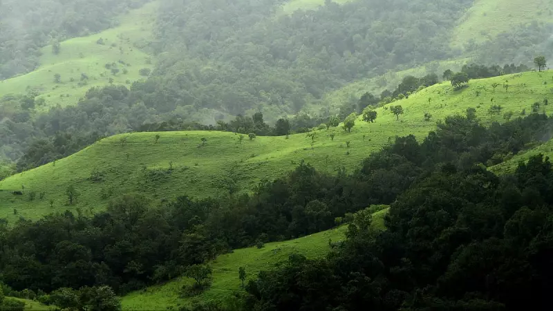 NGO Alleges Illegal Formation of Eco-Sensitive Zone Panels in Shivamogga